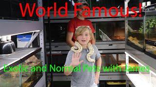 @exoticandnormalpetswithjam571 visits Wild Cargo to adopt an exotic animal!