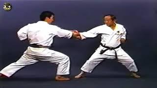 SHOTOKAN karate - The Nakayama - Tekki Nidan Kata and Bunkai (Каратэ Шотокан Накаямы)