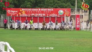 Goat Race #6 C1 Class Classic 2024