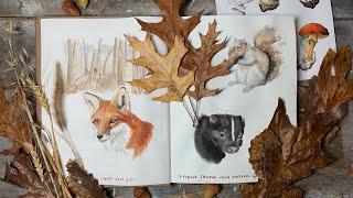 A Year In The Nature Journal: Mammals Of The Woodland  making observations & and helpful tools