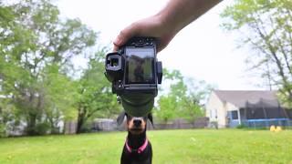 The Last Nikon Z6iii Video & 35mm f1 2