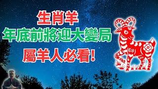 生肖羊，命理測算：年底前你將迎大變局，這是關鍵時刻，你準備好了嗎？會發生什麼？ #2024年生肖羊運勢 #2024年生肖羊運程 #2024年屬羊運勢 #屬羊運程