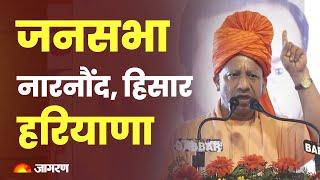 LIVE: UP CM Yogi Adityanath addresses public meeting in Narnaund, Hisar | Haryana Election 2024