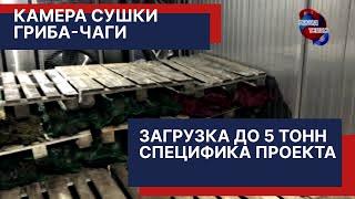 Камера сушки гриба-чаги от компании Холод-Тепло. Замер электропотребления и специфика сушки гриба.