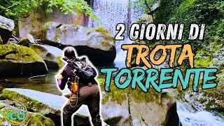 È SUCCESSO DI TUTTO!   BAITFINESSE alla TROTA FARIO nei TORRENTI CASENTINESI con SUPER MIKE! (4K)