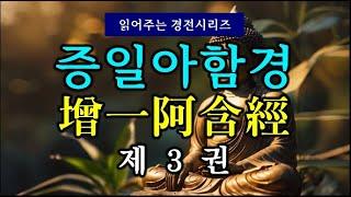 (#읽어주는 경전시리즈) 증일아함경(增一阿含經) 제3권