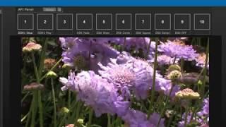 TriCaster and Panamation command control