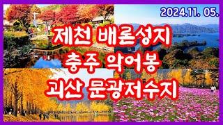 24. 11. 05. 제천 배론성지•충주 악어봉•괴산 문광저수지-충북의 가을 여행지로 떠나보자 #문광저수지 #악어봉 #배론성지