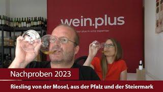 Nachproben 2023 | Riesling von der Mosel, aus der Pfalz und der Steiermark