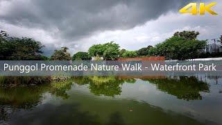 Punggol Promenade Nature Walk - Punggol Point Park - The Jetty [Singapore] 4K