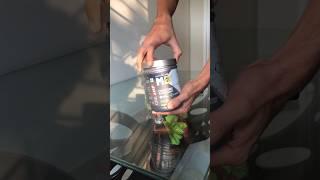 MUSCLEBLAZE Creatine Monohydrate Unboxing #foryou  #creatine #unboxing #review #supplements #short
