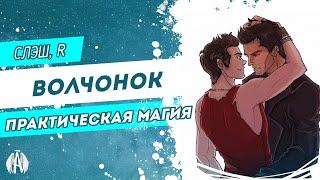 Волчонок: Практическая магия