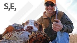 Pheasant Hunting - Upland Hunting with Dogs - Bag Limit Filled S3E2