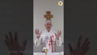 Homily Friday May 30 2025 I Catholic Mass Daily Reflections I John 16:20-23