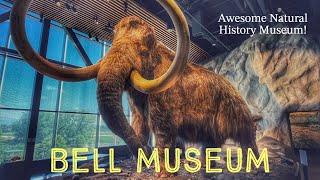 The Bell Museum: A Must-See for Science Lovers