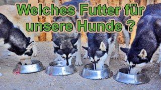 Welches Hundefutter füttern wir unseren Hunden ? / Teilbarfen / Hundeernährung /Nature Trails