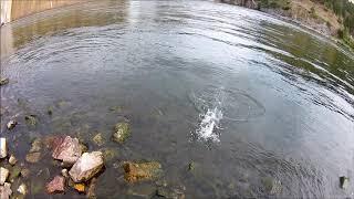 missouri river at the dam fishing in montana by helena