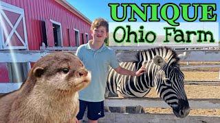 WESTMEISTER FARM!  Otters, Sloth, Zebra, Kangaroo all at an Ohio Farm