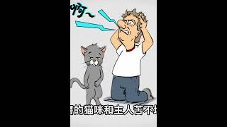 养猫，不能只吃猫粮，容易尿闭 #004