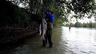 PUYALLUP RIVER: King salmon and pink salmon fishing 2021