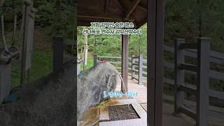 #경남거창가볼만한곳 #거창가볼만한곳 #감악산 #연수사 #감악산약수터 #거창약수터 #거창선녀폭포 #거창숨은명소