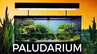 Guided Tour of this Stunning Paludarium