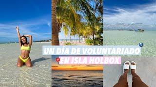 VOLUNTARIADO EN UNA ISLA | Worldpackers