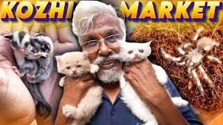 Chennai's Biggest Pet Market | கோழி மார்க்கெட், Broadway 