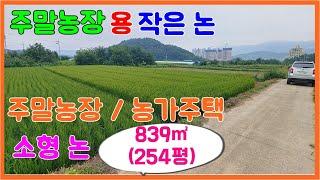 큰길1594.밀양시내 5분 소규모 논 839㎡(구254평) 매매 #밀양 주말농장  #밀양전원주택#밀양논