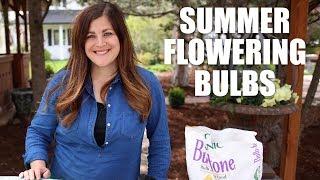 Summer Flowering Bulbs // Garden Answer