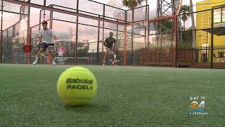 Padel: A Look At The Fast-Growing Sport That's Fun and Easy To Play