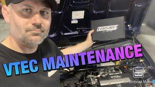 IF YOU HAVE A VTEC YOU MUST DO THIS!! - HOW TO LOOK AFTER YOUR VTEC