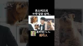 최강야구 동물원 개장