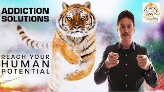 Tiger Resilience Addiction Solutions for Reaching Human Potential