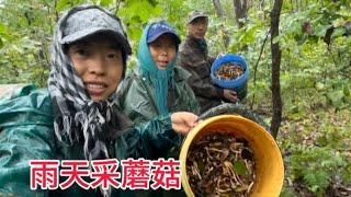 雨天和老妈一起来采蘑菇，爬山涉水真遭罪，为了山珍野味也是拼了