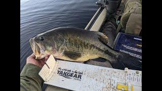 Kayak Fishing - Biggest 20" bass I've ever caught! Upper Peninsula, Michigan