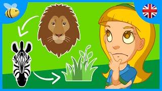 What is the Food Chain? | Kids Videos