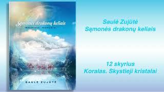 Saulė Zujūtė "Sąmonės drakonų keliais" 12