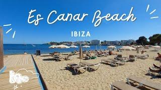 Es Canar Beach : Ibiza, Spain