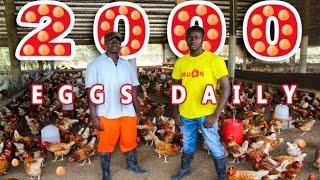 I left Italy to start a Poultry farm in the GambiaMinteh Poultry Farm