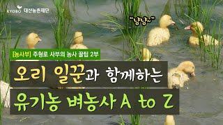 [농사부]  #주형로 사부 (2) 오리 일꾼과 함께하는 유기농 벼농사 A to Z 