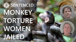 SENTENCED: Monkey Torture | 2 Worcestershire women given prison time | West Mercia Police