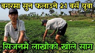 आठ हजार लगानी पाँच लाख आम्दानी,21बर्से प्रसान्त बगरमा सुन फलाउदै simesag,water cress farming