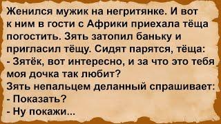 Про зятя и тёщу с Африки... Сборник анекдотов!