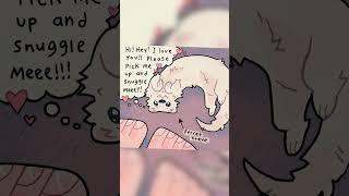 Pets Hate Socks #fyp #cute #cuteanimals