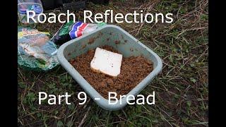 Roach Reflections Part 9 - Roach Baits - Bread