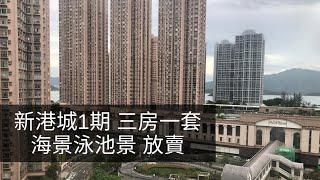 新港城1期 A座 三房一套 568呎｜可望新港城會所泳池景｜可望海景｜放賣