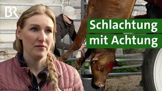 Mobile Schlachtung mit Metzger am Bauernhof: Ein neuer Weg in der Landwirtschaft? | Unser Land | BR