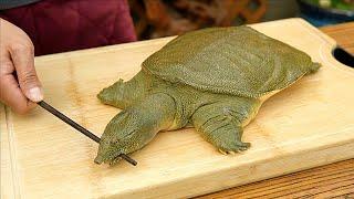 How to butcher and clean a soft shell turtle，3 ways