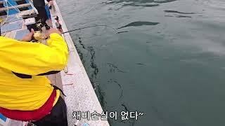 타이라바의 혁명! 타이라바의 새로운기법! 타이라바꼬라박기(타꼬)입니다